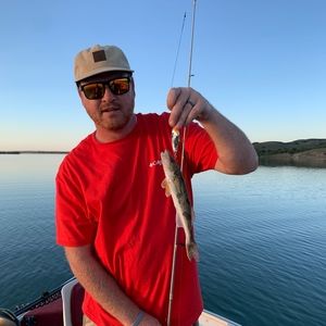 Meet your Posher, Nick